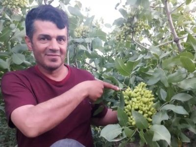 مردی که سر ایران را سبز میکند