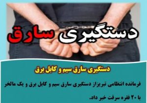 دستگیری سارق سیم و کابل برق