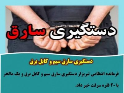 دستگیری سارق سیم و کابل برق