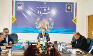 در جلسه کنترل سگهای ولگرد و بلاصاحب مطرح کرد ؛ سگهای بلاصاحب باید جمع آوری شوند