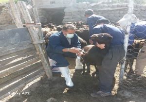 برگزاری اردوی جهادی شهدای خدمت توسط اداره دامپزشکی شهرستان هشترود