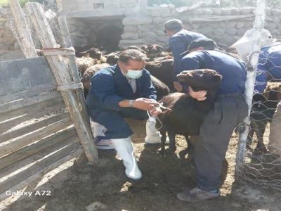 برگزاری اردوی جهادی شهدای خدمت توسط اداره دامپزشکی شهرستان هشترود