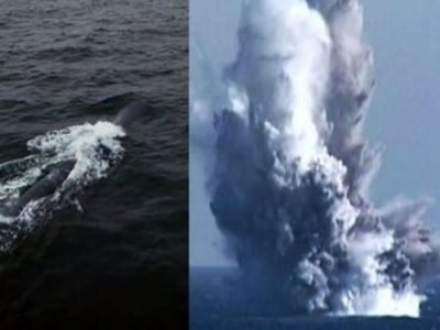 پهپاداتمی کره شمالی سونامی به پامی‌کند