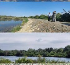 پایش آنفلوآنزای حاد پرندگان در حاشیه رودخانه ارس