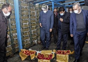 بازدید استاندار آذربایجان شرقی از روند تأمین و توزیع میوه شب عید