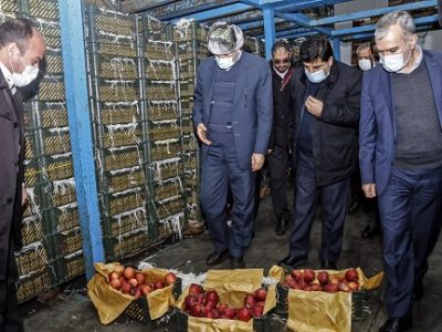 بازدید استاندار آذربایجان شرقی از روند تأمین و توزیع میوه شب عید