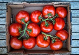شیوه های نگهداری طولانی مدت از گوجه فرنگی