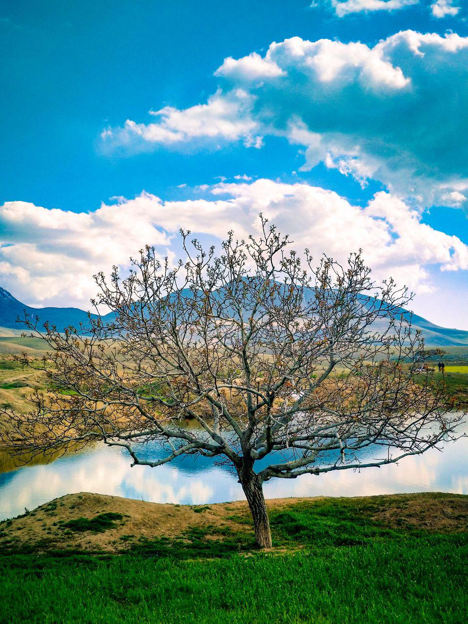 گزارش تصویری ازسد خاکی ینگجه واقع در روستای ینگجه از توابع شهرستان آذرشهر