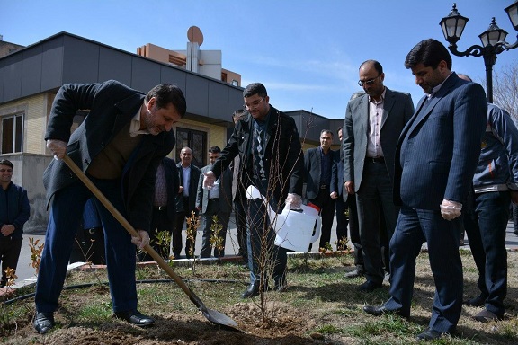 غرس نهال توسط رئیس کل دادگستری استان آذربایجان شرقی به مناسبت هفته منابع طبیعی