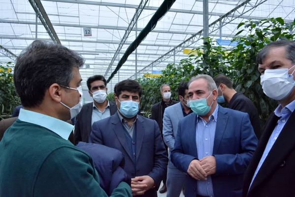 بازدید معاونین وزیر جهادکشاورزی از بزرگترین طرح گلخانه ای خاورمیانه در آذربایجان شرقی