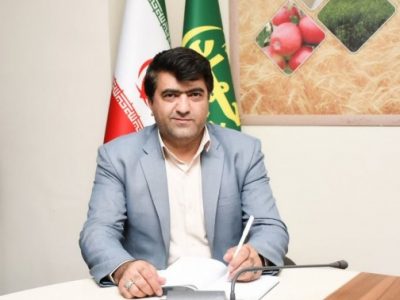 تولید ۶ هزار تن گوشت سفید در شهرستان هشترود