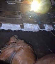 کشف ۱۰۰۰قطعه ماهی از صیادان غیر مجاز در حوالی سد سهند