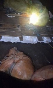 کشف ۱۰۰۰قطعه ماهی از صیادان غیر مجاز در حوالی سد سهند