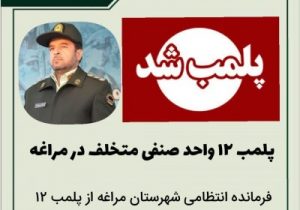 پلمب ۱۲ واحد صنفی متخلف در مراغه