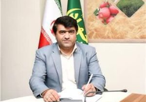 مدیر جهاد کشاورزی هشترود خبر داد؛ کشت ۱۰ هزار هکتاری نخود دیم با رعایت الگویی کشت