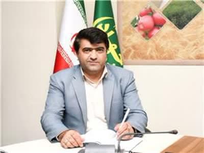 مدیر جهاد کشاورزی هشترود خبر داد؛ کشت ۱۰ هزار هکتاری نخود دیم با رعایت الگویی کشت