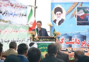 تولید یک چهارم گندم آذربایجان شرقی در هشترود و چاراویماق