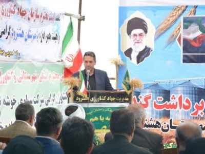 تولید یک چهارم گندم آذربایجان شرقی در هشترود و چاراویماق