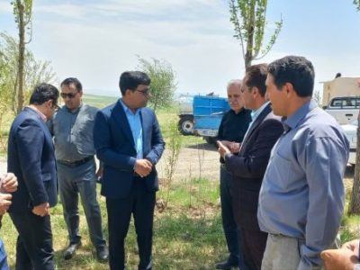 خسارت ۹۴۰ میلیارد تومانی تگرگ به مزارع گندم دیم هشترود