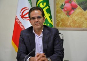 کشاورزان خسارت دیده هر چه سریعتر به دفاتر بیمه مراجعه کنند