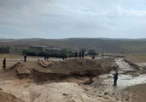 پیگیری نماینده چاراویماق و هشترود برای بررسی خسارت مزارع گندم؛ اعزام تیم کارشناسی بیمه