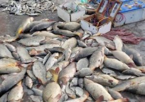 دستگیری صیادان غیر مجاز در سد سهند هشترود