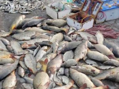 دستگیری صیادان غیر مجاز در سد سهند هشترود