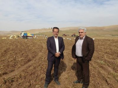 بازدید از دستاوردهای بخش کشاورزی هشترود؛ رونق تولید در مزارع پایاب سد سهند