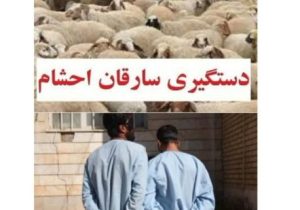 سارقان احشام در چاراویماق زمین گیر شدند