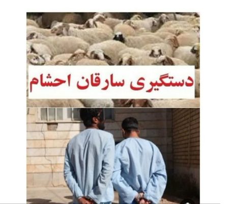 سارقان احشام در چاراویماق زمین گیر شدند سارقان احشام در چاراویماق زمین گیر شدند