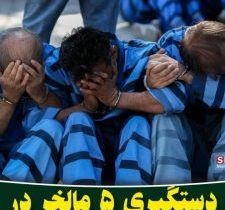 دستگیری ۵ مالخر در شهرستان هشترود