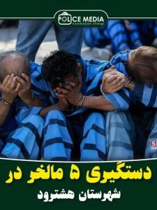 دستگیری ۵ مالخر در شهرستان هشترود