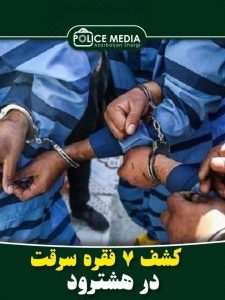 کشف ۷ فقره سرقت در هشترود