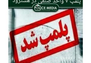 پلمپ ۷ واحد صنفی در هشترود