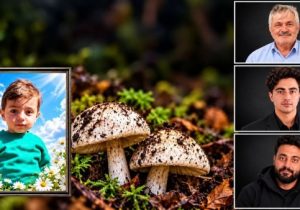 مرگ تلخ ۴ عضو خانواده سمنانی پس از مصرف قارچ سمی؛ ماجرای مصرف قارچ سمی چه بود؟