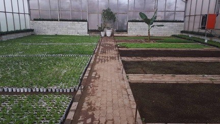 شهردار منطقه پنج خبر داد: گلکاری در مسیر ۳ کیلومتری ورودی شرق تبریز