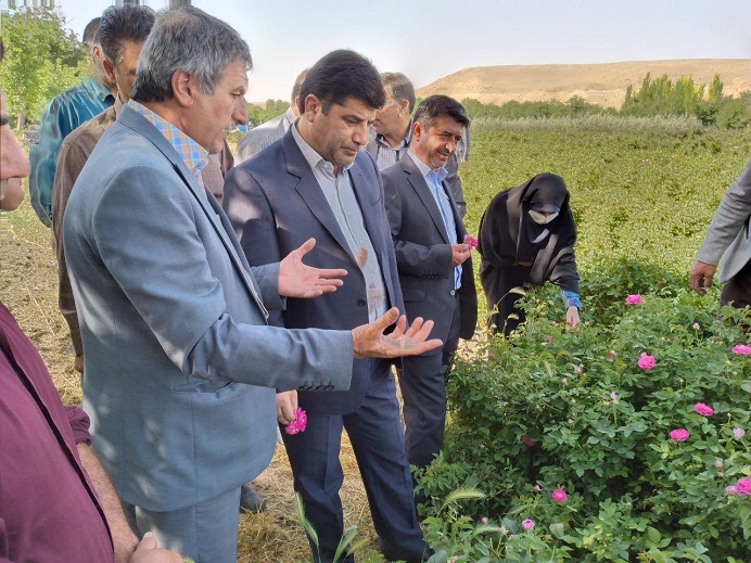 گزارش تصویری ریاست محترم سازمان جهاد کشاورزی استان از نهالستان قیزیل گول قاضی جهان در شهرستان آذرشهر
