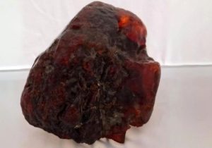 سنگی که ۳۰ سال به عنوان نگهدارنده در خانه استفاده میشد، گنج یک میلیون دلاری از آب درآمد