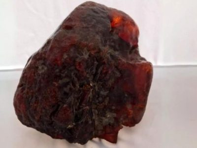 سنگی که ۳۰ سال به عنوان نگه‌دارنده در خانه استفاده می‌شد، گنج یک میلیون دلاری از آب درآمد