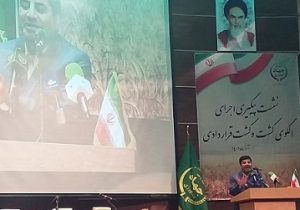 اصلاح الگوی کشت لازمه کشاورزی قراردادی است