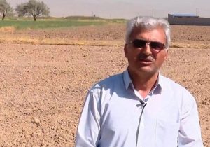 کشت کلزا در ۳۵۰۰ هکتار از اراضی آذربایجان شرقی