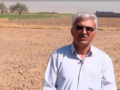 کشت کلزا در ۳۵۰۰ هکتار از اراضی آذربایجان شرقی