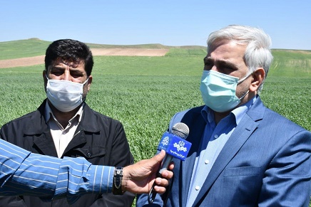 عملیات کشاورزی حفاظتی یکی از نسخه های نجات بخش دیم ایران است