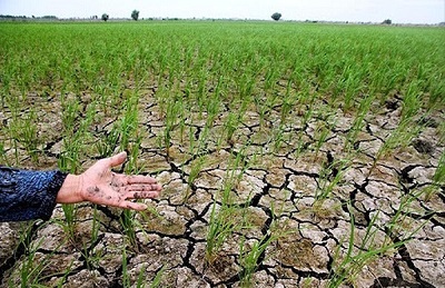 تاخت‌وتاز ۹۰ درصدی خشکسالی در ۴ شهرستان/ به صدا درآمدن زنگ خطر بحران خشکسالی در آذربایجان شرقی