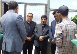 کشت گلخانه‌ای در توسعه صادرات و اشتغال نقش بی بدیل دارد