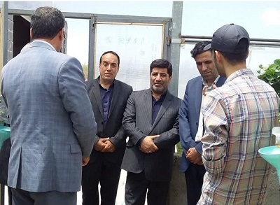 کشت گلخانه‌ای در توسعه صادرات و اشتغال نقش بی بدیل دارد