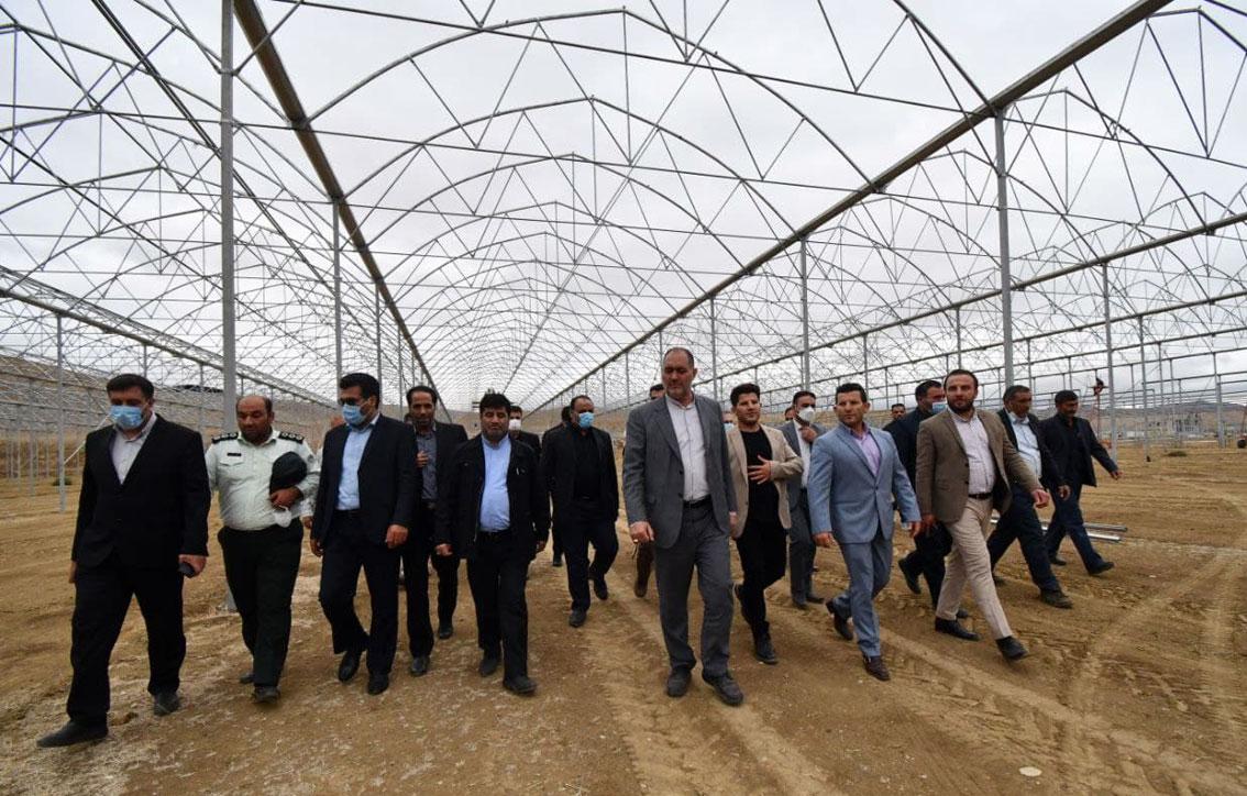 توسعه کشت های متراکم گلخانه ای از برنامه های دولت سیزدهم