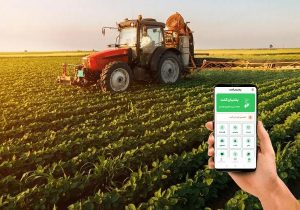 بیش‌از پنج هزار و ۲۷۵ هکتار کشت قراردادی در شهرستان تبریز ثبت شد