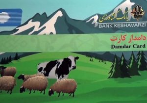 اعتبار ۳۴۰ میلیارد ریالی برای تهیه نهاده‌های دامی با دامدار کارت در آذربایجان شرقی