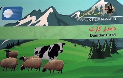 اعتبار ۳۴۰ میلیارد ریالی برای تهیه نهاده‌های دامی با دامدار کارت در آذربایجان شرقی